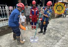 Ular Tali Picis Diamankan Petugas DPKP Banjar dari Kamar Mandi Warga di Desa Sungai Paring
