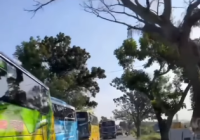Viral! Konvoi Bus Pariwisata Rombongan MAN 1 Jepara Gunakan Jalur Lawan Arah Hingga Tabrakan Beruntun