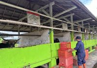 Penyangga Pangan IKN, Pemprov Kalsel Dorong Swasembada Daging Sapi