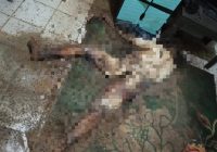 4 Bulan Meninggal Jasad di Jalan Kasturi Banjarbaru Alami Mumifiksi, Begini Penjelasan Polisi