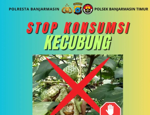Cara Atasi Efek Samping Buah Kecubung Jika Terlanjur Mabuk