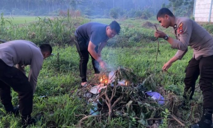 Personel Satres Narkoba Polres Hulu Sungai Tengah membakar tanaman kecubung yang tubuh di Jalan Batuah, Pandawan. (wartabanjar.com - Ist. Humas)