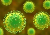 Virus dari Tiongkok HMPV Sudah Terdeteksi di Indonesia