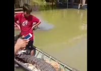 Buaya Sepanjang Lebih 1 Meter Tersangkut di Jala Nelayan Jorong