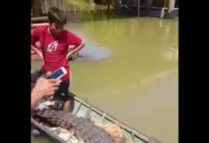 Buaya yang sangkut di jala milik nelayan di Jorong, Kabupaten Tanah Laut. (wartabanjar.com - Ist. Kiriman warga)