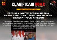 Cek Fakta Presiden Jokowi Minta Kasus Vina Diselesaikan, Ancam Pecat Polri
