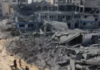 WHO Ungkap 6 Persen Warga Gaza Tewas Akibat Perang Setahun Terakhir