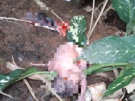 Jenazah Bayi Dievakuasi ke RSUD Ulin Banjarmasin