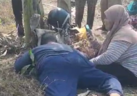 Pria Ditemukan Meninggal di Area Persawahan di Sungai Tabuk