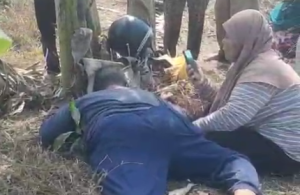 Korban meninggal didampingi istrinya yang berupaua meminta bantuan untuk mengevakuasi suaminya. (wartabanjar.com - Ist. Rekanan)