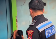Viral, Pemotor Diduga Pura-pura Kerasukan Harimau Saat Hendak Ditilang Polisi