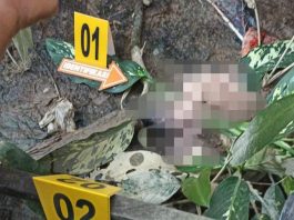 Kondisi Gang Keramat Jadi Petunjuk Polisi Menemukan Pembuang Bayi di Antasan Kecil Timur