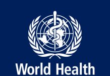 Wabah Hantavirus Sedang Menyebar, WHO Tegaskan Bukan Pandemi Baru