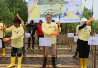 Bank Kalsel Sumbang 8.000 Bibit Mangrove di Hari Lingkungan Hidup se Dunia