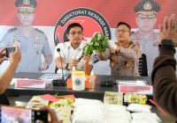Polda Kalsel Lakukan Sejumlah Langkah Cegah Fenomena Mabuk Kecubung Makin Meluas