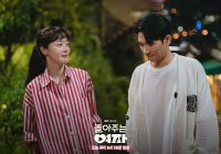 Link Nonton Streaming Drakor My Sweet Mobster Episode 14 Sub Indo