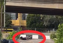 Bukan Mabuk Kecubung, Penyebab Pria Bertingkah Aneh di Bawah Flyover