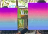 Dituduh Selingkuh, Score Girl Biliar di Palangka Raya Mengadu ke Polda Kalteng