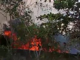 Kebakaran Lahan di Landasan Ulin Banjarbaru