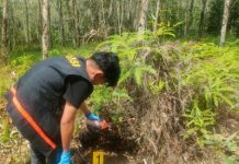 Warga Desa Upau Dihebohkan oleh Penemuan Bayi Perempuan di Kebun Karet Warga