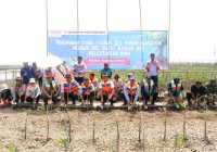 HUT ke 50, Yamaha Motor Indonesia Targetkan Tanam 150.000 Mangrove Hingga 2026