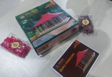 Tim Mahasiswa UGM Ini Buat Produk Mainan Bongkar Pasang Terintegrasi Teknologi AR
