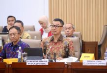 PLN Ajukan Rp 3 Triliun PMN 2025 untuk Bangun Kelistrikan Daerah Terpencil