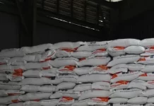 Jaga Rantai Pasokan Pangan, Bulog Stok 1,8 Juta Ton Beras