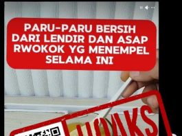 Cek Fakta Seduhan Bawang Putih Bersihkan Lendir Paru-Paru