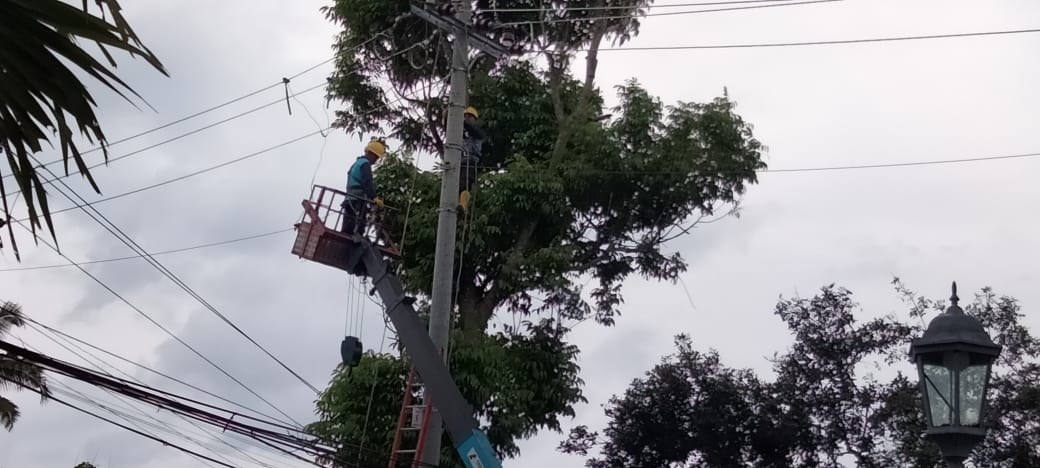 pemeliharaan jaringan pln