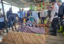 9 Penambang Emas Terperangkap di Dalam Lubang Galian, 4 Tewas