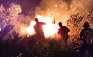 Karena sulitnya medan dan mendapatkan air, Manggala Agni melakukan pemadaman karhutla di Panta Lunci, Sukamara, Kalteng, hingga malam. (wartabanjar.com - Istimewa)