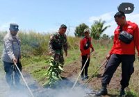 Titik Api Ditemukan di Jalan Caraka Ujung Landasan Ulin