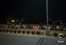 Heboh Buaya Muncul di Jalan Lingkar Dalam Selatan