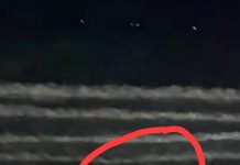 Seekor Buaya Muncul di Pantai Pagatan