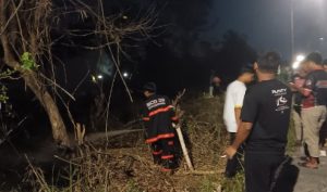 Kebakaran lahan di Jalan Teluk Gampa, Sungai Jingah, Banjarmasin Utara, Senin malam. (wartabanjar.com - Ist. BPBD Kota Banjarmasin)