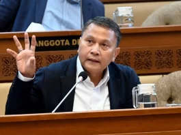 Baru Diluncurkan Golden Visa Tuai Kritik, IKN Diobral