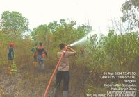 Karhutla di Banjarbaru Hanguskan 1,5 Hektar Lahan