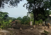 Puluhan Makam Palsu Dibongkar Warga, Diduga Jadi Tempat Perdukunan dan Dikeramatkan