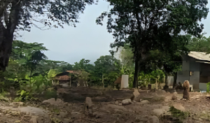 Makam palsu dibongkar warga Kampung Cibolang, Desa Citepus, Kecamatan Pelabuhanratu, Kabupaten Sukabumi, Jawa Barat. (wartabanjar.com - Ist. Youtube)