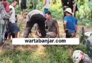 Penangkapan buaya di Desa Mekar Jaya RT 04, Kecamatan Angsana, Kabupaten Tanah Bumbu, Kalsel. (wartabanjar.com - Its. Kiriman warga)