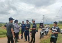 Cegah PMK, Dinas Pertanian Banjar Suntik Vitamin 90 Hewan Ternak Warga Desa Baru