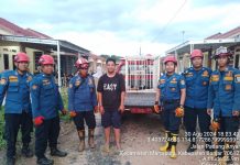 Meresahkan Warga, Anjing Liar di Desa Tungkaran Martapura Diamankan Petugas DPKP Banjar
