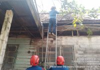 Pohon Tumbang Kenai Atap Rumah Warga di Desa Pesayangan Selatan