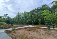 Pemkab Balangan Tingkatkan Fungsi dan Estetika Hutan Kota