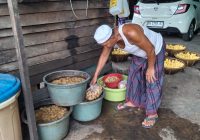 Jaring Khas Desa Pingaran, Diproduksi Hingga 50 Kilogram per Hari