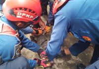Resah Biawak Berkeliaran di Dapurnya, Reza Langsung Lapor DPKP Banjar
