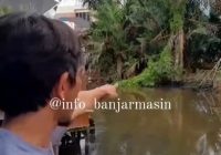 Heboh 2 Buaya Muncul di Jalan Kelayan Besar Banjarmasin