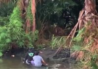 Plang Tanda Bahaya Buaya Akan Dipasang di Jalan Kelayan Besar