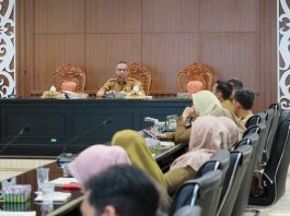 Pemkab Barito Kuala Rapat Capaian Evaluasi Mandiri SPBE, ini Kata Zulkipli